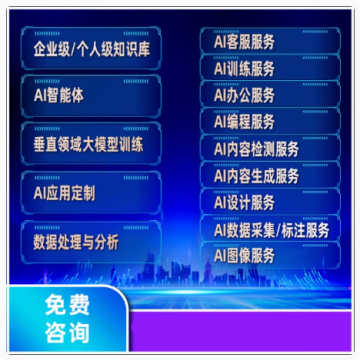 AI大模型定制开发AI模型开发训练AI应用开发智能体